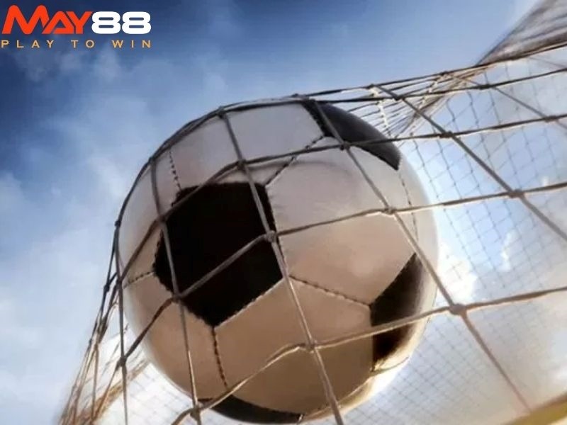 Giai đoạn 2: Live Odds